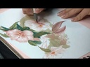 youtube - [Video]